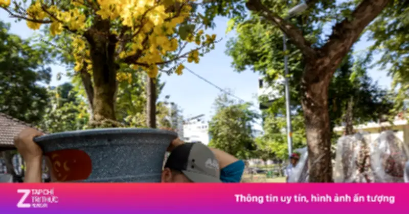Tiểu thương chợ hoa TP.HCM vất vả xả hàng cuối năm, giá giảm hơn 50%