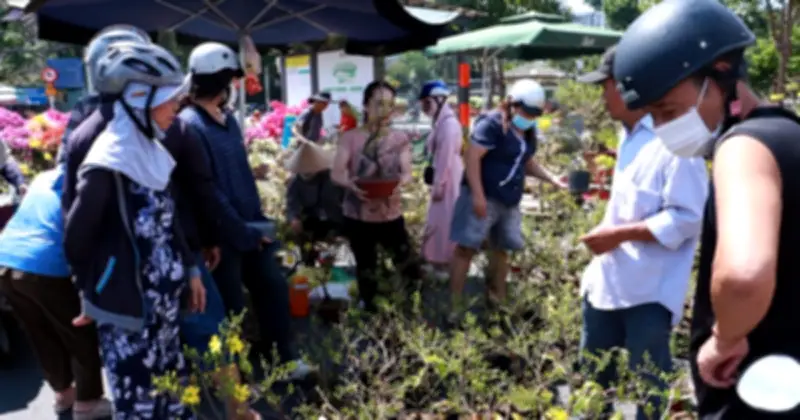 Tiểu thương công viên Gia Định xả lỗ hoa Tết trước giờ trả mặt bằng