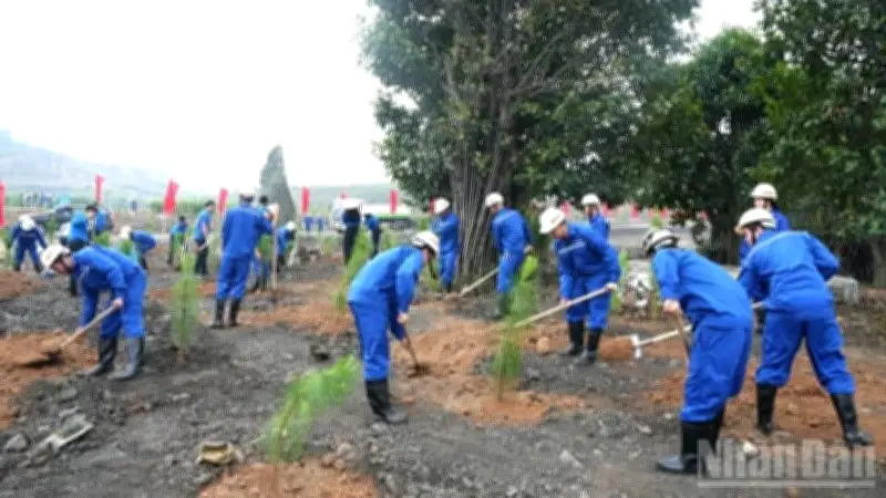 TKV Phát Động Tết Trồng Cây, Hướng Tới Mục Tiêu 'Đưa Nhà Máy Vào Công Viên'