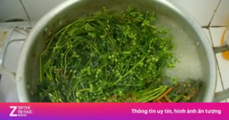 Tắm Nước Mùi Già: Công Dụng Và Lưu Ý Từ Y Học Cổ Truyền Đến Hiện Đại