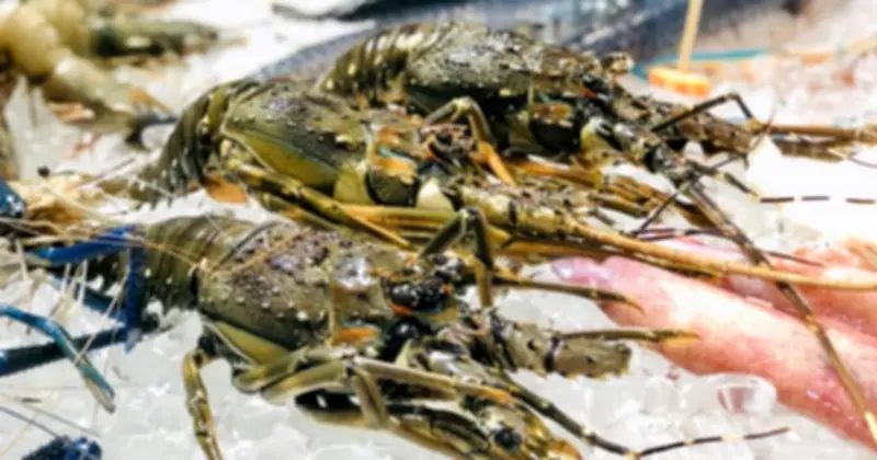 Tôm Việt Nam chiếm lĩnh thị trường Trung Quốc, hướng tới mục tiêu xuất khẩu 11,5 tỷ USD năm 2026