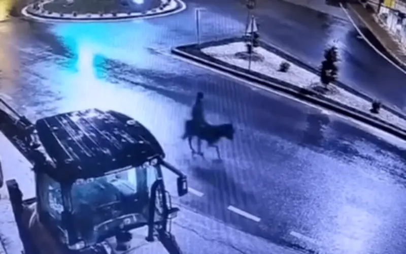 Tên trộm trang sức ở Thổ Nhĩ Kỳ dùng xe nâng cạy cửa, tẩu thoát trên lưng lừa