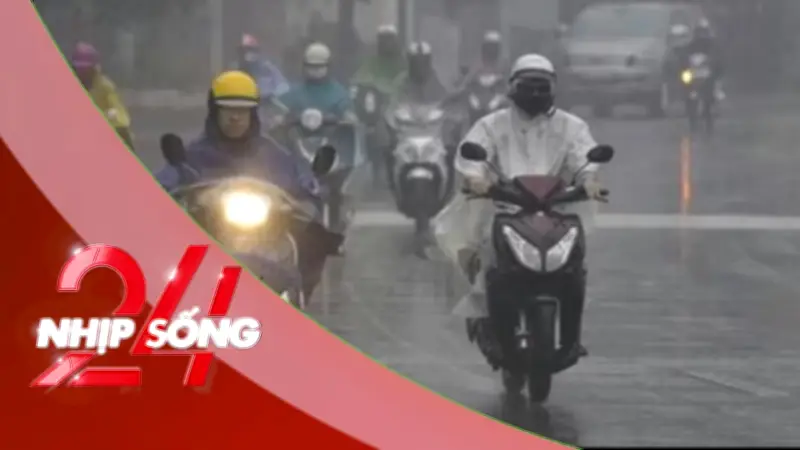 Tổng hợp tin tức nổi bật: Thể thao, văn hóa, giao thông và bất động sản