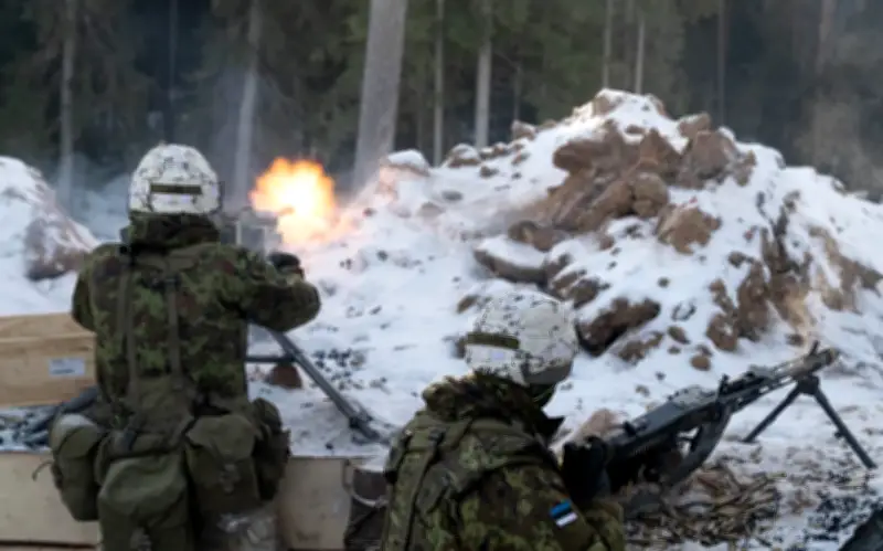 Tổng thống Estonia kêu gọi châu Âu tăng cường quốc phòng trước lo ngại về Mỹ