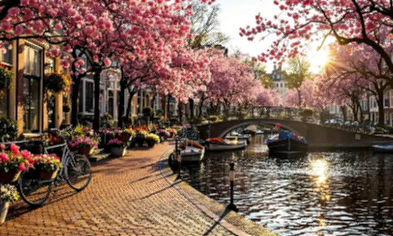 Tour châu Âu kín chỗ dịp Tết, du khách Việt sẵn sàng chi lớn cho trải nghiệm cao cấp