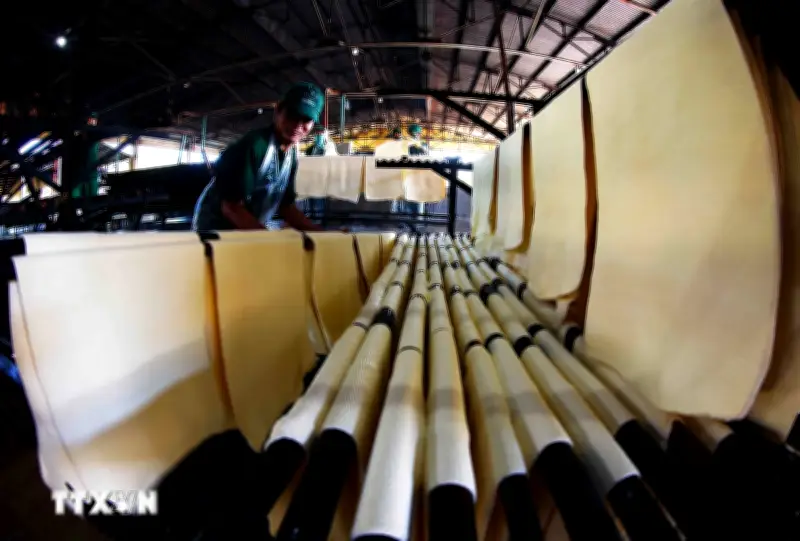 Tập đoàn Cao su Việt Nam: Báo cáo kiểm toán phát hiện nhiều tồn tại, vi phạm