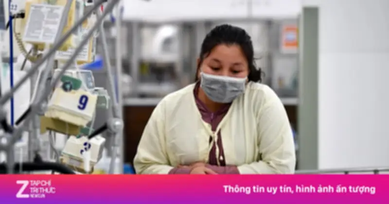 TP.HCM cảnh báo sốt xuất huyết có thể tăng sớm trong năm 2026