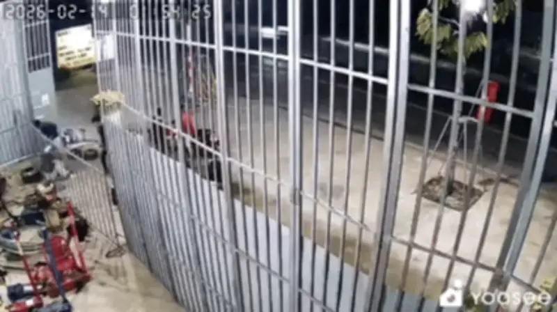 TP.HCM: Khởi tố, bắt tạm giam 8 thanh thiếu niên cướp tài sản, hành hung người dân