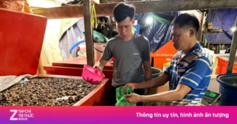 TP.HCM kiểm tra hơn 2.000 cơ sở thực phẩm, chưa ghi nhận sự cố nghiêm trọng dịp Tết