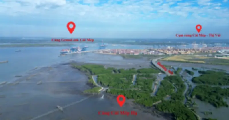 TP.HCM Phê Duyệt Dự Án Cảng Cái Mép Hạ 50.820 Tỷ Đồng, Thúc Đẩy Logistics