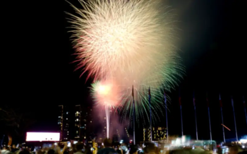 TP.HCM rực rỡ đón giao thừa Bính Ngọ với màn pháo hoa lung linh trên sông Sài Gòn