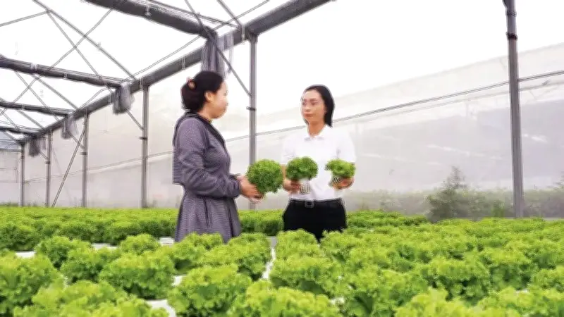 TP.HCM: Đất nông nghiệp tăng gấp 4 lần, công nghệ cao chiếm 45% giá trị sản xuất