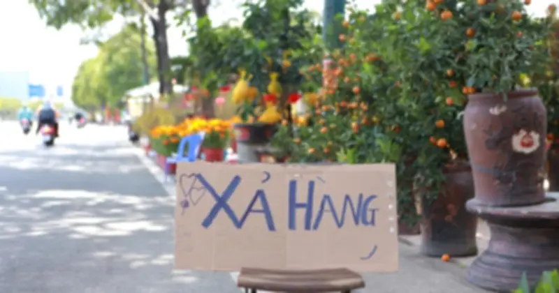 TP.HCM: Tiểu thương xả hàng hoa Tết, người dân tranh thủ mua sắm giá rẻ