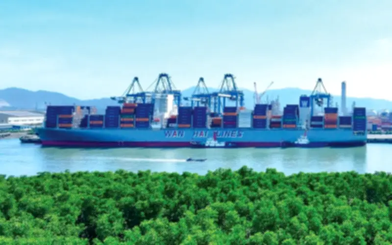 TP.HCM vươn mình thành đô thị biển hiện đại với vịnh Gành Rái và các dự án chiến lược