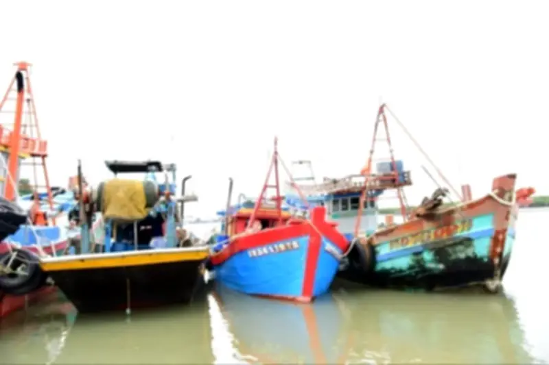 TPHCM xử lý 230/830 tàu cá mất kết nối giám sát, phấn đấu gỡ thẻ vàng IUU