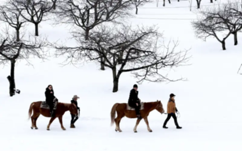 Trải Nghiệm Cưỡi Ngựa Trên Tuyết Hokkaido: Bình Yên Giữa Miền Quê Nhật Bản