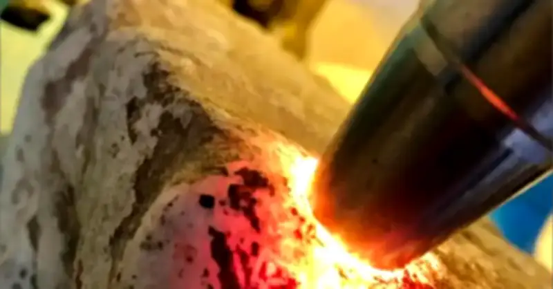 Triệt phá đường dây 'đổ đá' qua livestream, lừa đảo hàng triệu NDT tại Thượng Hải