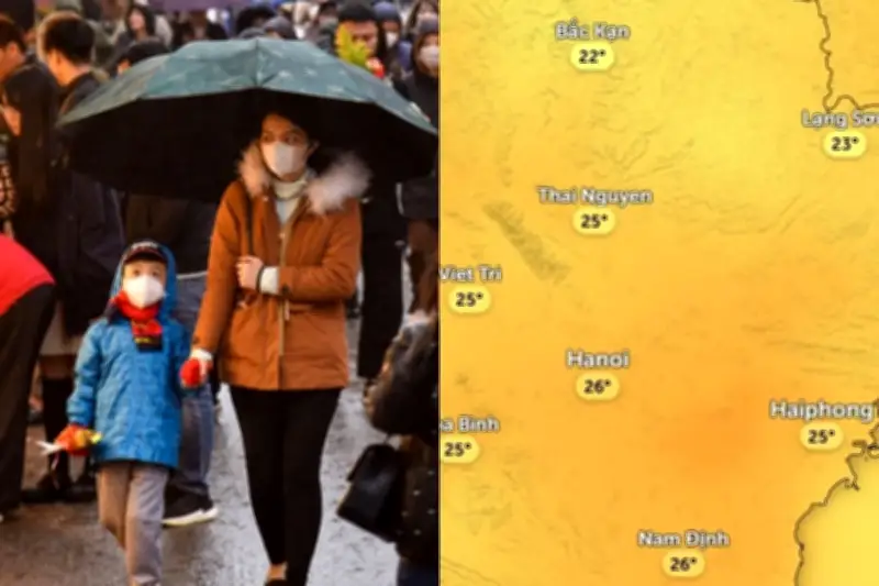 Trấn Thành nói giọng Bắc trong phim Thỏ Ơi, Bộ đội gieo mầm xanh, tai nạn giao thông và tin tức địa ốc