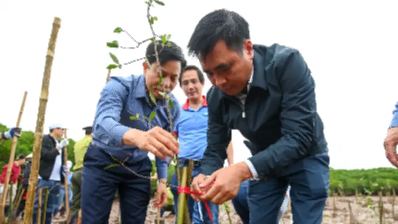 Trồng 9.000 Cây Rừng Ngập Mặn: Giải Pháp Chống Biến Đổi Khí Hậu Tại Hưng Yên