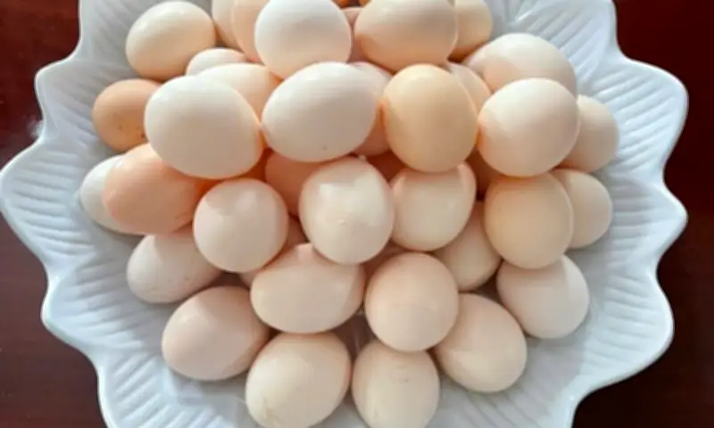 Trứng và men gan: Chuyên gia dinh dưỡng giải đáp cách ăn đúng cho người bệnh