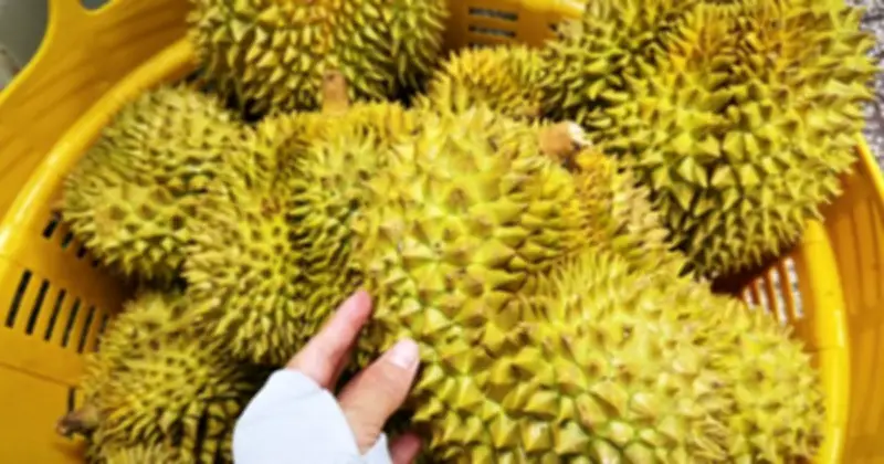 Trung Quốc Siết Quy Định Nhập Khẩu Nông Sản, Doanh Nghiệp Việt Cần Lưu Ý