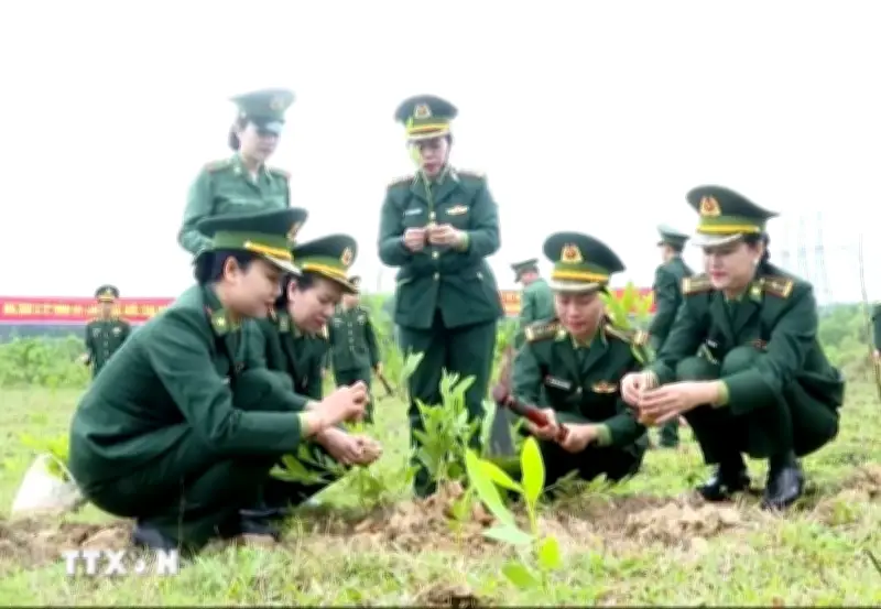 Tết trồng cây: Hành động thiết thực vun đắp mầm sống xanh cho đất nước