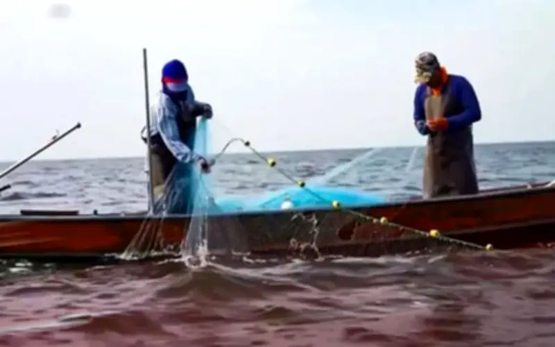 Tàu đánh cá Malaysia bị chìm khi hải quân Thái Lan truy bắt trên biển