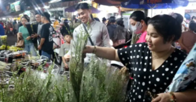 Tuyết Mai - Loài Hoa 'Cành Khô' Bung Nở Trắng Xóa Đón Tết, Hút Khách Tại TP.HCM