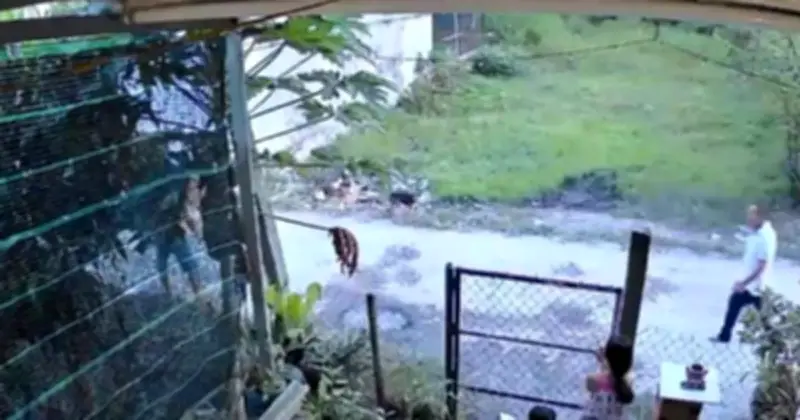 Tây Ninh: Cậu ruột dùng dao chém cháu gây thương tích 74% vì tranh chấp đất đai