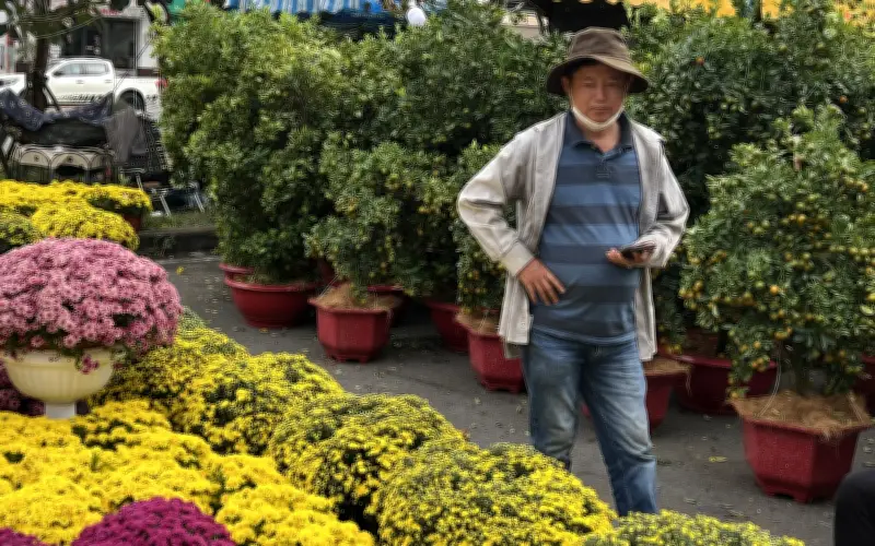 Tết Sài Gòn của những người xa quê: Vắng lặng, nhớ nhung và cơ hội kiếm tiền