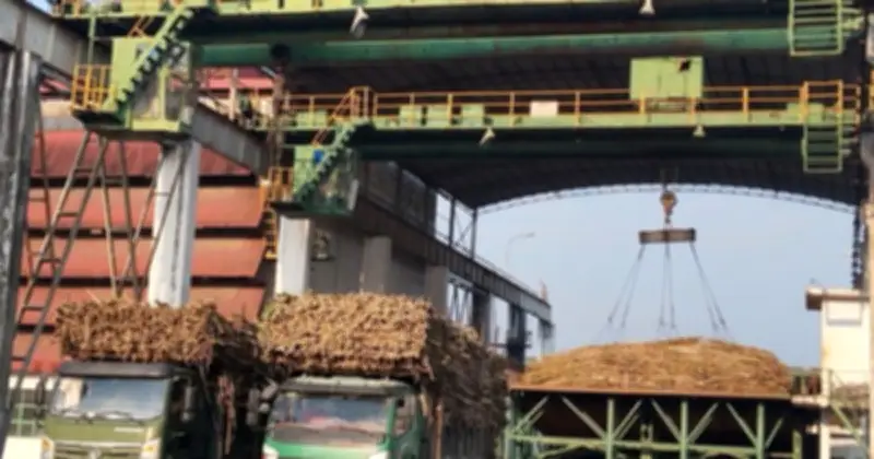 UBCKNN Xử Phạt Hai Doanh Nghiệp Vì Không Công Bố Thông Tin Trên Thị Trường Chứng Khoán