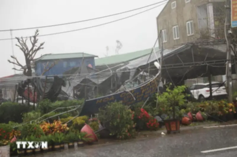 UNESCO và Nhật Bản hỗ trợ Việt Nam tăng cường hệ thống cảnh báo sớm thiên tai