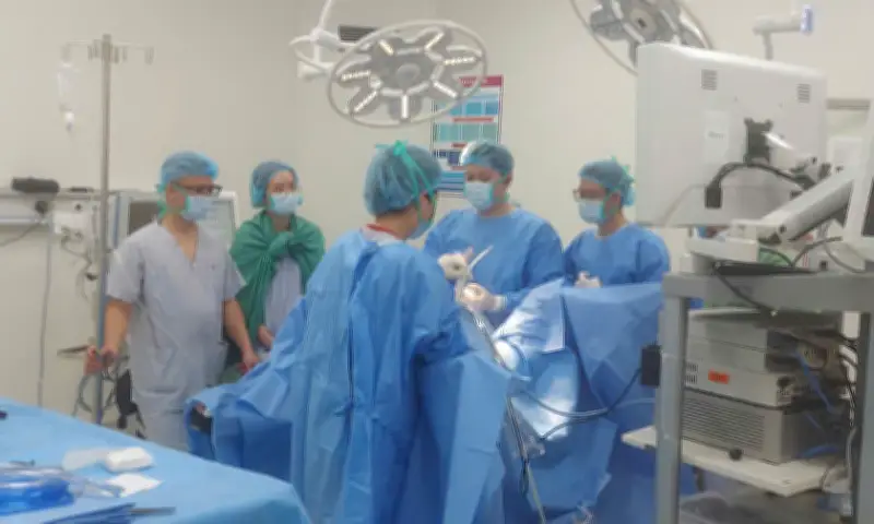 Vợ chồng trọng thương do trâu húc khi về quê ăn Tết ở Bắc Ninh