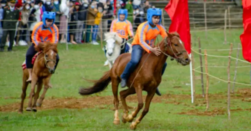 Võ Ngựa Mùa Xuân tại Gò Thị Thừng: Lễ Hội Văn Hóa Độc Đáo Thu Hút Du Khách