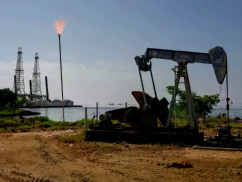 Venezuela đẩy mạnh hợp tác quốc tế và phục hồi ngành dầu khí