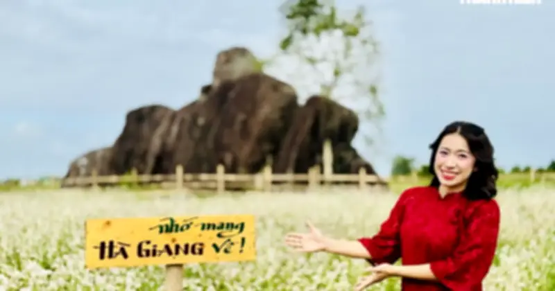 Cánh đồng hoa rực rỡ ở Quảng Ngãi thu hút đông đảo du khách dịp giáp Tết