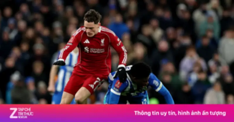 Video 5 bản hợp đồng đất chưa xé ra miệng: Cảnh báo rủi ro pháp lý