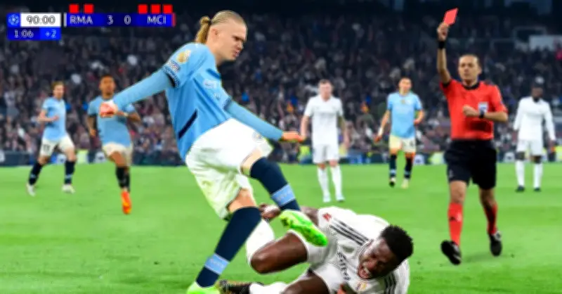 Video Khi Các Ngôi Sao Biển Săn Cồn Cát Thành Võ Đài: Cuộc Chiến Sinh Tồn Dưới Đáy Biển