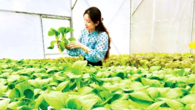 Việt Tiến đổi thay từng ngày, hướng tới đô thị vệ tinh vùng Đồng bằng sông Hồng