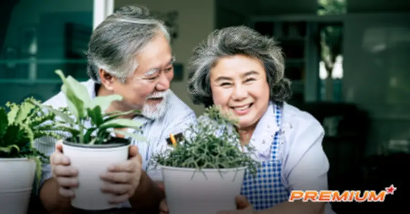 Việt Nam Lọt Top 10 Quốc Gia Đáng Sống Nhất Thế Giới Cho Người Nghỉ Hưu