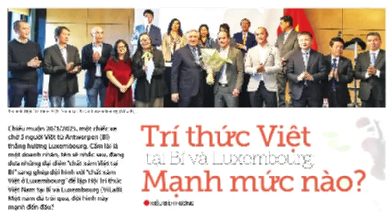 Hội Trí Thức Việt Nam Tại Bỉ Và Luxembourg: Một Năm Kết Nối Và Thành Công