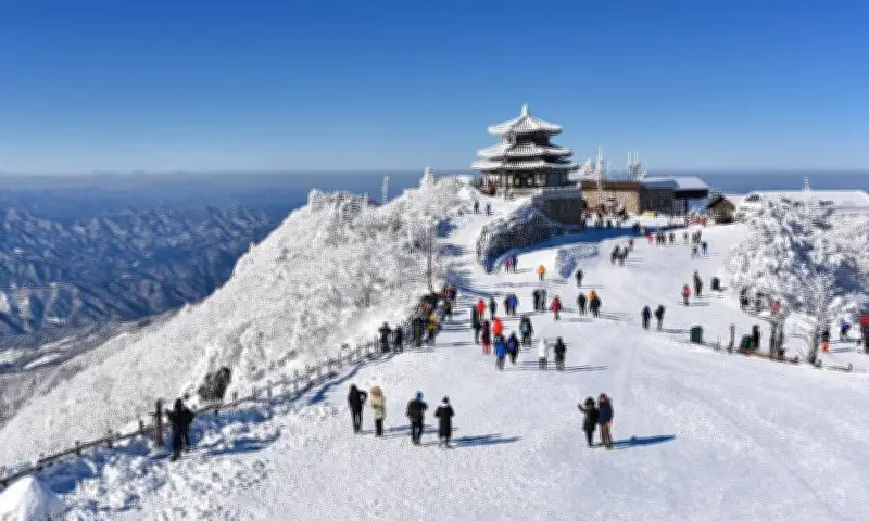 Du khách Việt đổ xô đi trượt tuyết nước ngoài dịp Tết, tăng hơn 20%