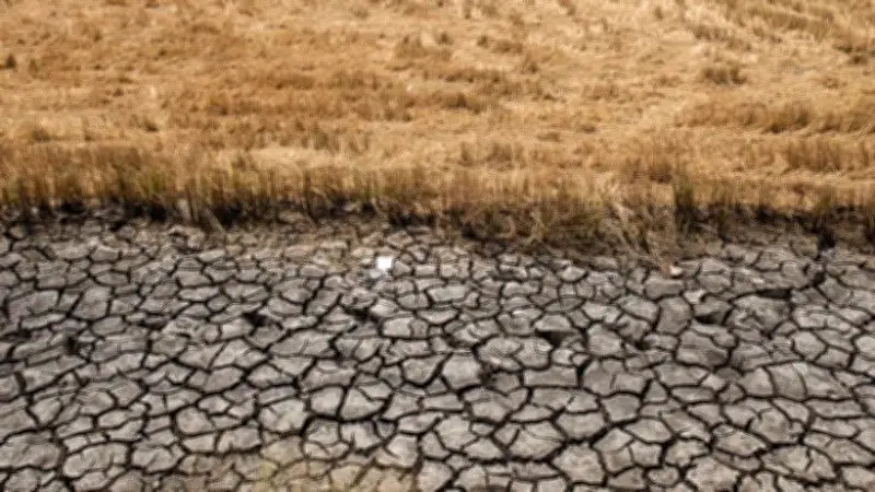 Viện Hàn lâm ứng dụng IoT giám sát xâm nhập mặn, bảo vệ sản xuất nông nghiệp