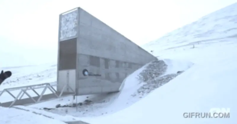 Việt Nam gửi 1.000 giống lúa đến 'hầm tận thế' Svalbard để bảo tồn đa dạng sinh học