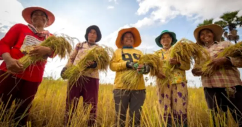 Việt Nam Áp Dụng Thuế 0% Nhập Khẩu 300.000 Tấn Gạo Từ Campuchia