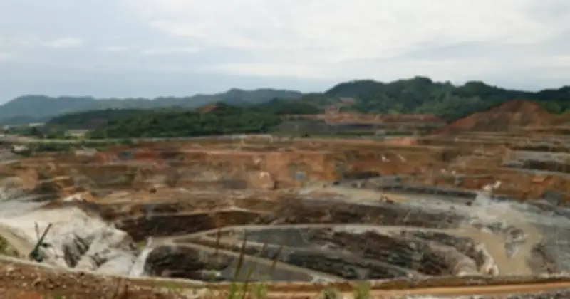 Việt Nam Sở Hữu Trữ Lượng Vonfram Lớn Thứ 3 Thế Giới, Thái Nguyên Chiếm 90%