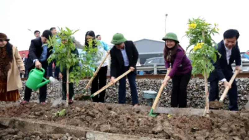 Việt Nam vượt mục tiêu trồng 1 tỷ cây xanh, đạt 1,439 tỷ cây sau 5 năm