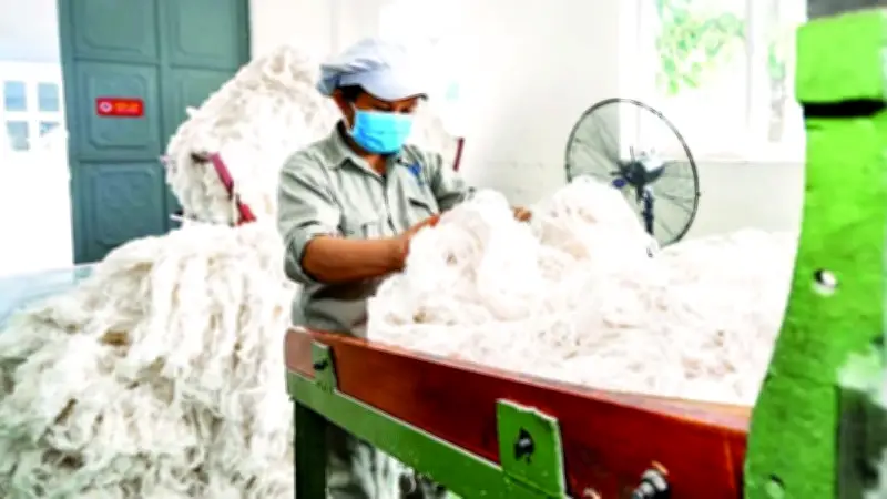 Việt Nam đẩy mạnh chuyển đổi kép xanh-số: Lựa chọn chiến lược trong kỷ nguyên cạnh tranh mới