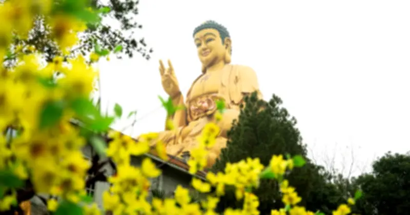 Văn khấn giao thừa tại chùa Tết Bính Ngọ 2026: Nghi thức và ý nghĩa tâm linh