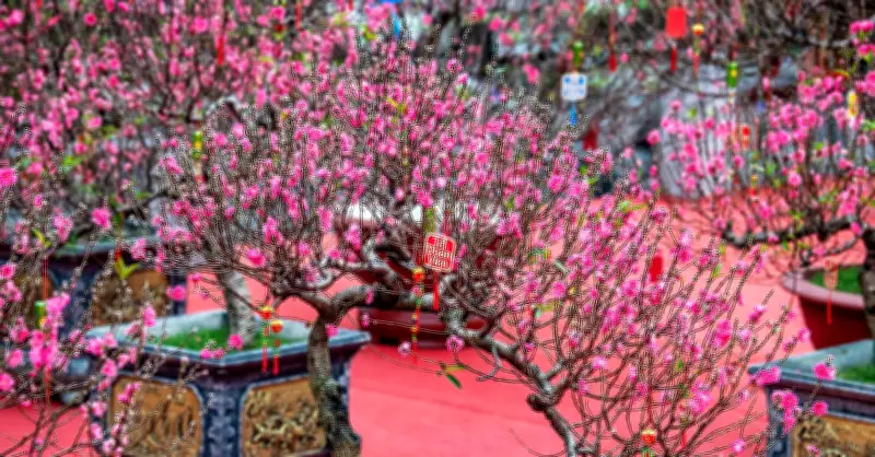 Văn Khấn Giao Thừa Trong Nhà Và Ngoài Trời: Nghi Thức Cổ Truyền Đón Năm Mới